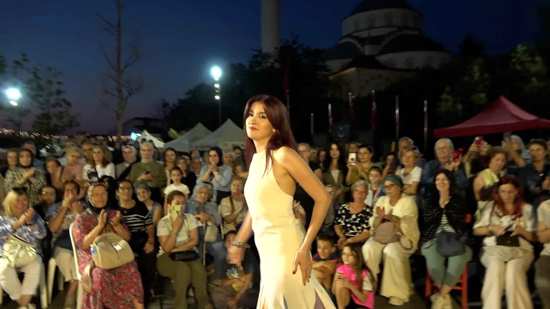 Makale medyası