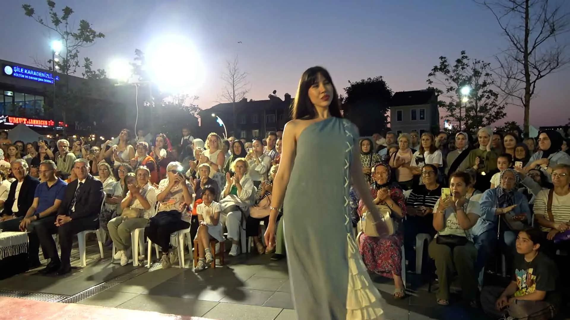 Makale medyası