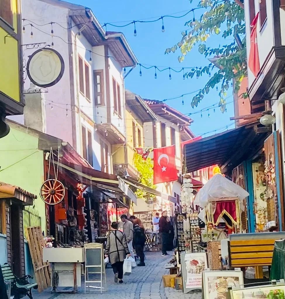 Makale medyası