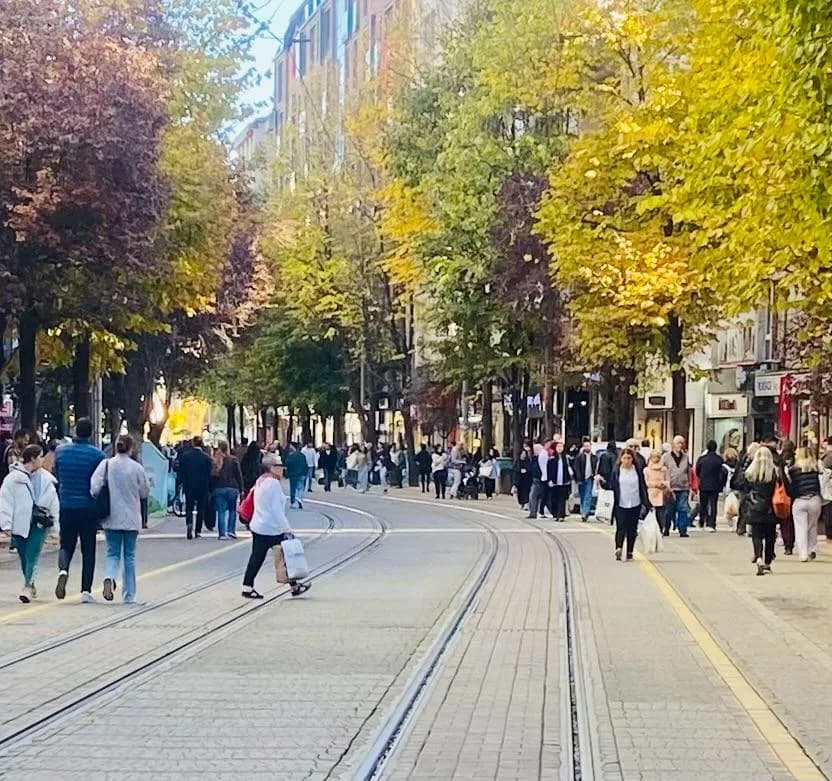 Makale medyası