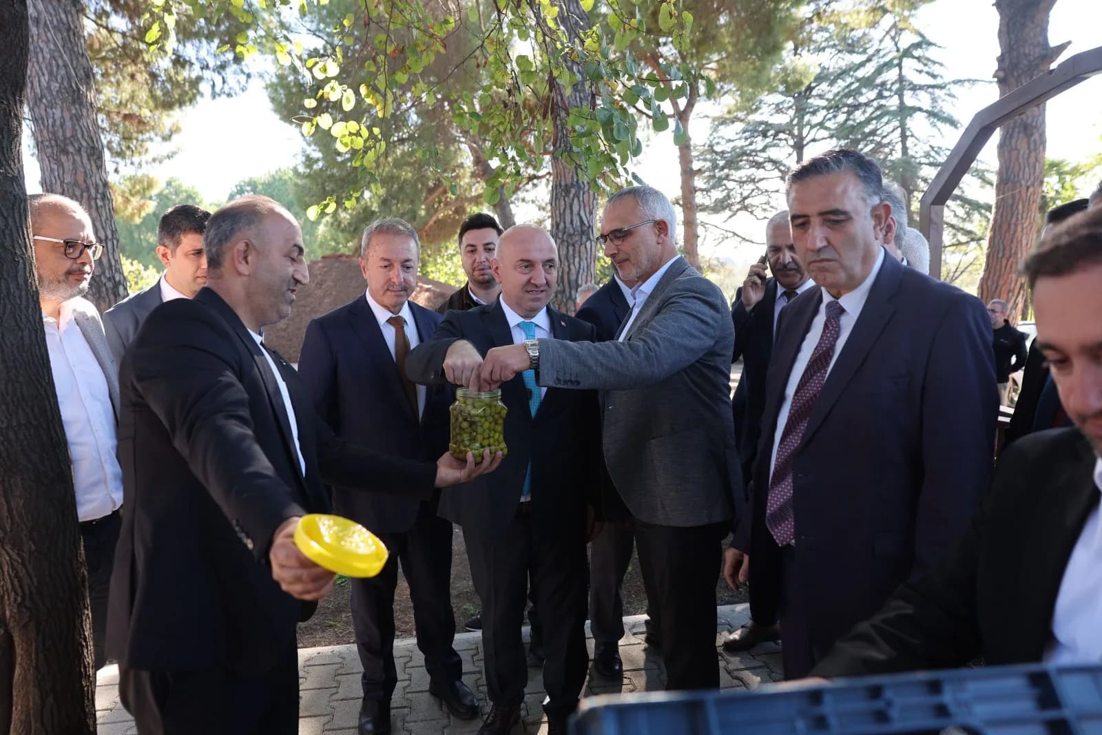 Makale medyası