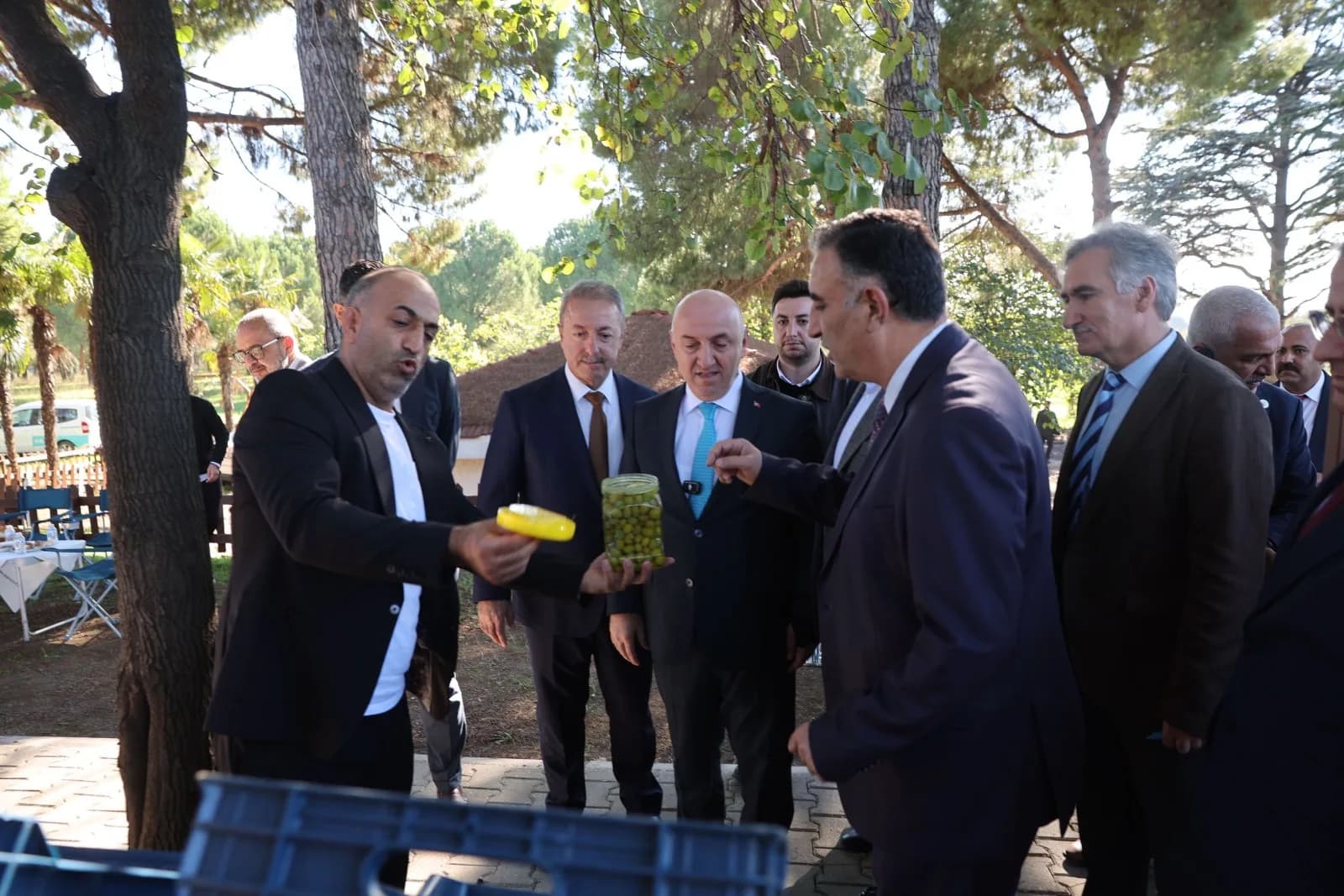 Makale medyası