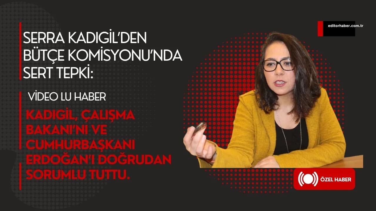 Makale medyası