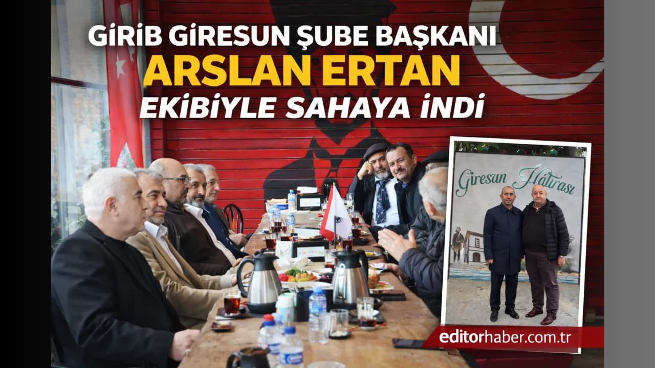 Makale medyası