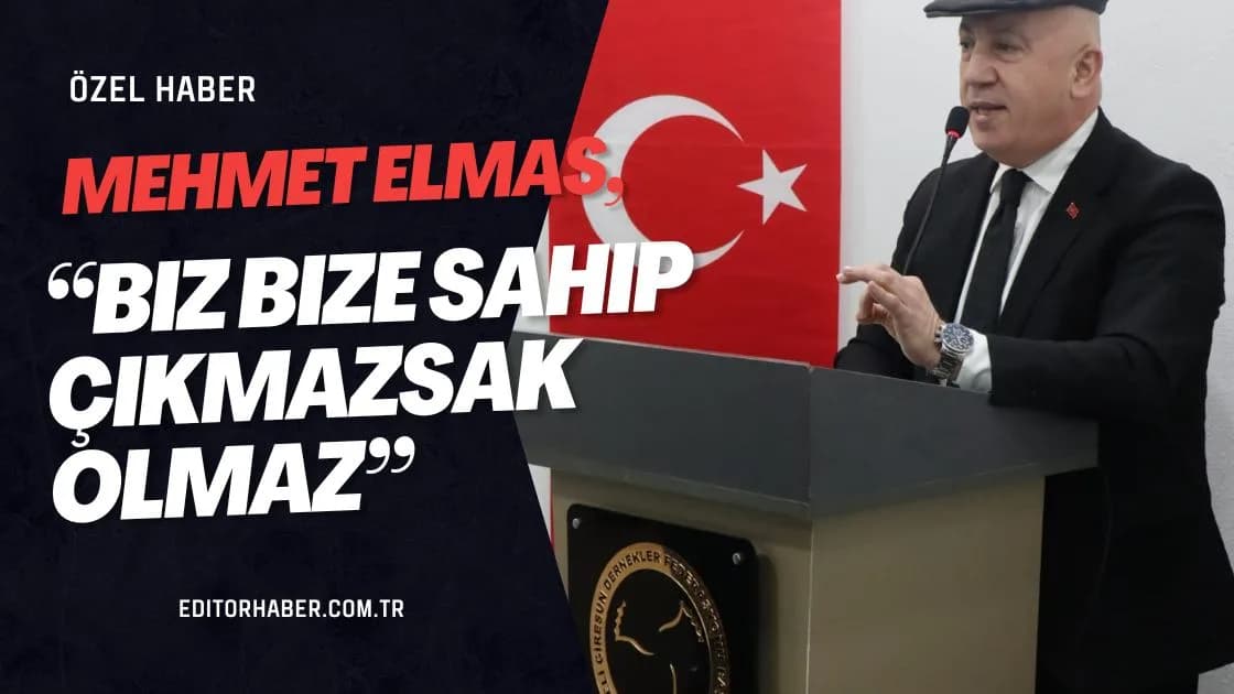Makale medyası