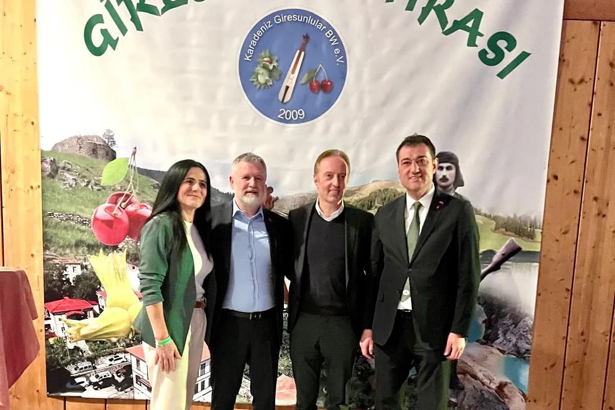 Makale medyası