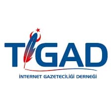 Makale medyası