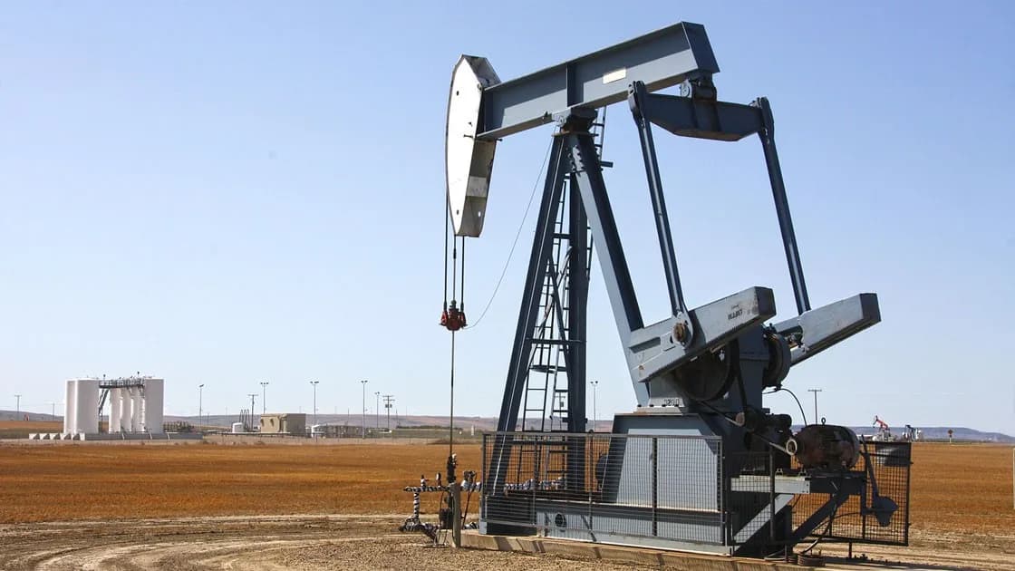 Petrol Fiyatları 50 Doların Altına Düşebilir: OPEC Kararı Piyasaları Etkiledi