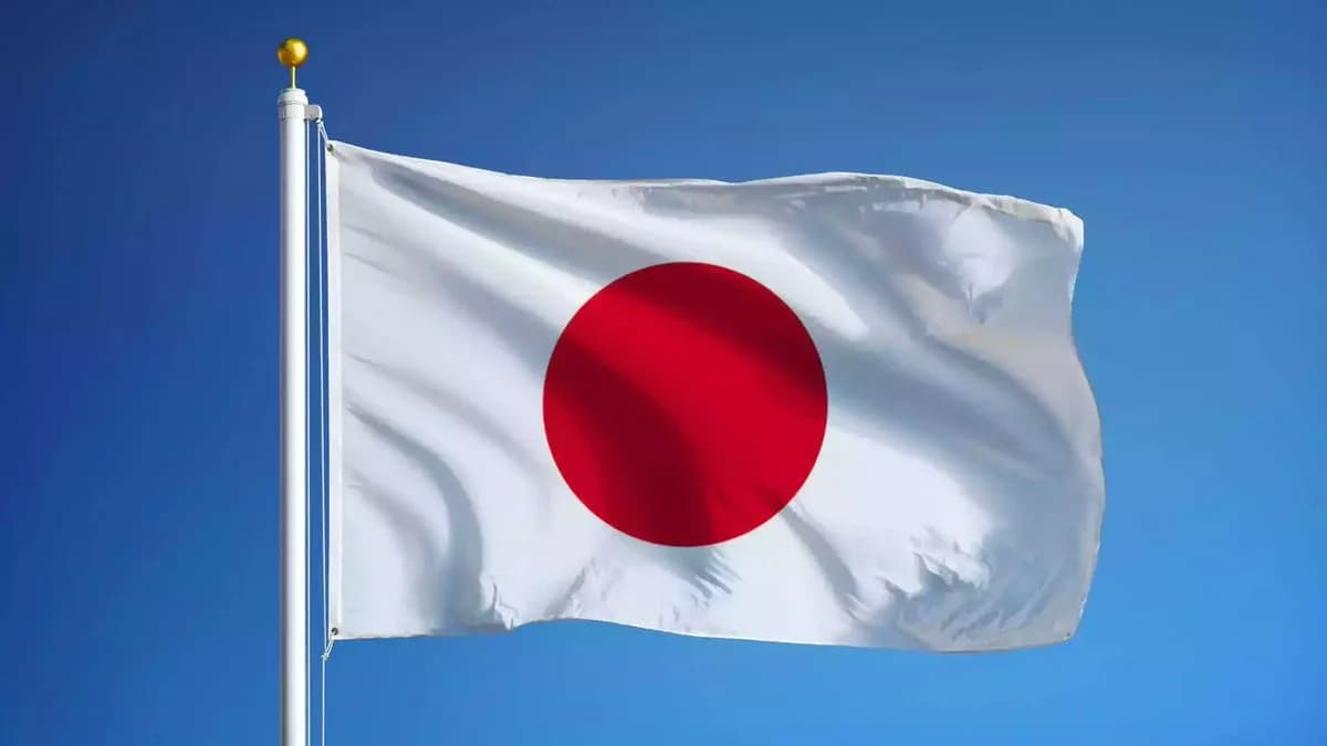 Japonya'da Kürtlere Yönelik Saldırılar: DEM Parti Milletvekili Beştaş'tan Sert Açıklama