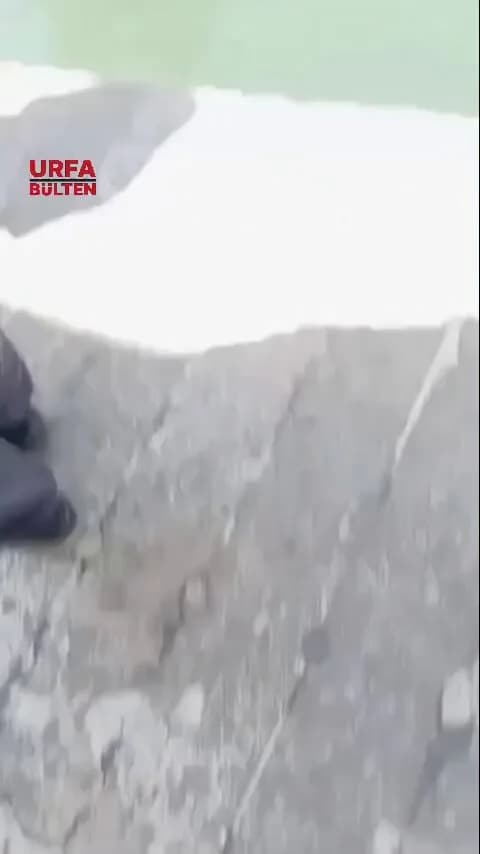 Şanlıurfa'da Balıklıgöl'de Yüzme Olayı