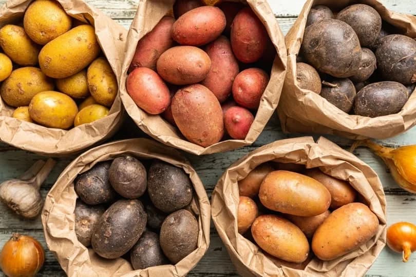 Türkiye'de Bilinen Patates Çeşitleri ve Özellikleri: İşte Detaylı Rehber