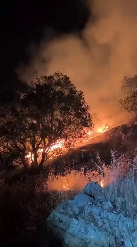 Diyarbakır Lice Orman Yangını: Devam Eden Söndürme Çalışmaları ve Son Durum