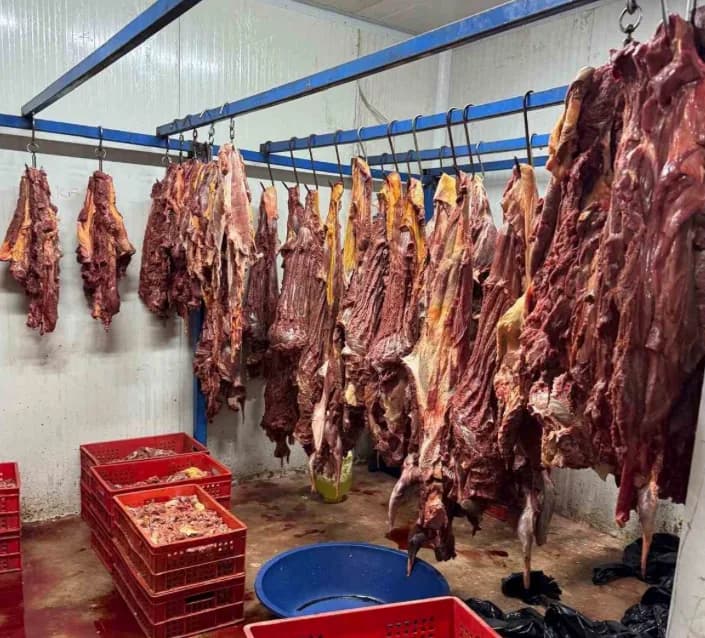 Et Taşışı Şok: At ve Eşek Eti Karışımı Satışı Yapan İşletmelere Hapis Cezası