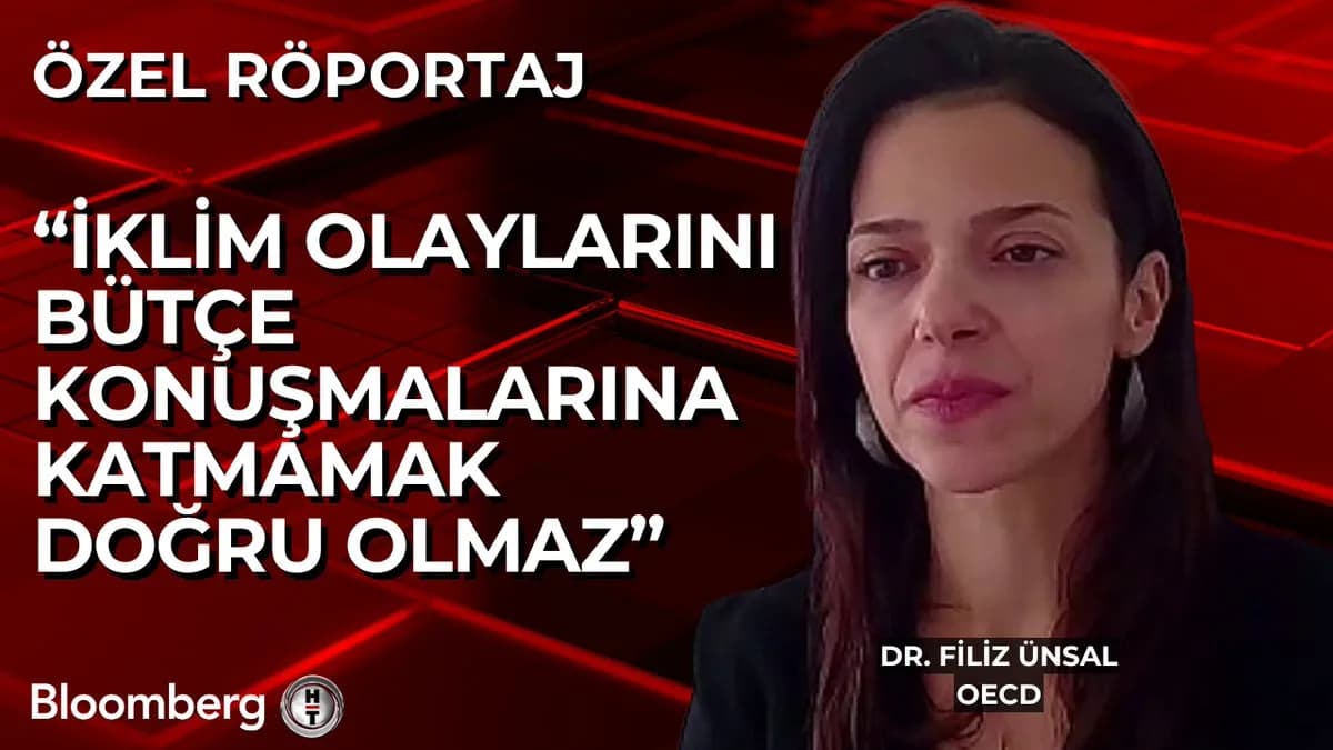 OECD Uyardı: İklim Değişikliği ve Zombi Şirketler Ekonomiye Tehdit Oluşturuyor