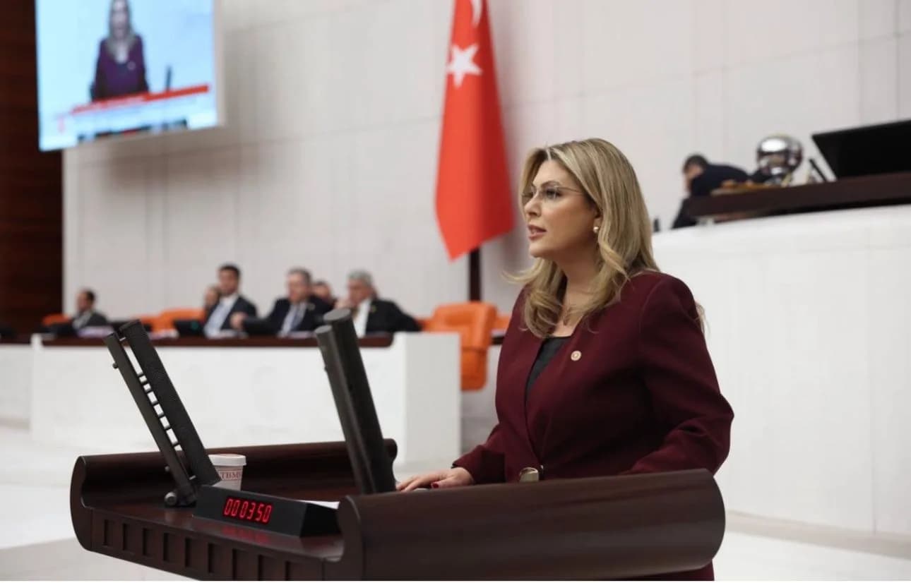 Elvan Işık Gezmiş’ten Maden İhalesine Sert Tepki: “Yaşam Alanlarımızın Talanına İzin Vermeyeceğiz”