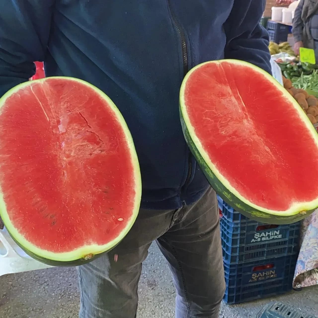Mersin'de Sezonun İlk Karpuzları Satışa Çıktı! Kilosu 50 TL