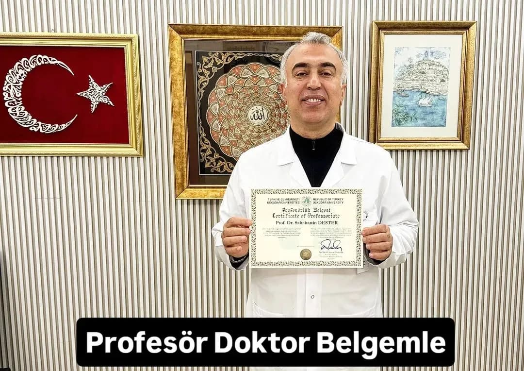 Prof. Dr. Sabahattin Destek Profesörlük Belgesini Aldı
