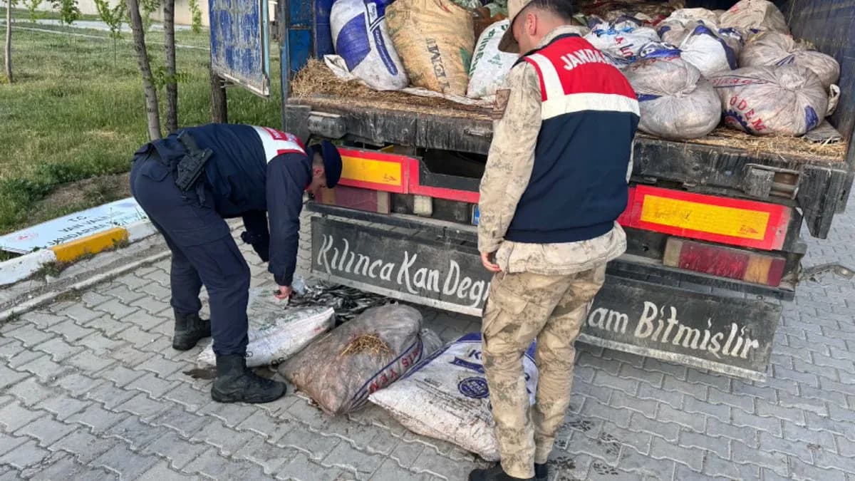 Van Gölü'nde Kaçak İnci Kefali Operasyonu: 19 Ton 200 Kilogram Ele Geçirildi