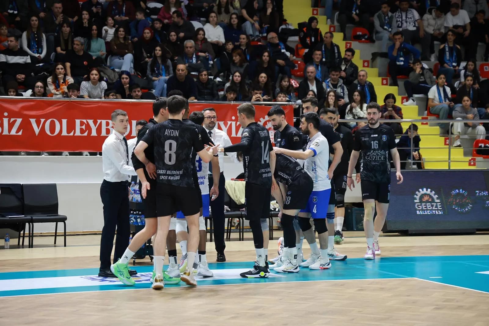 Efeler Ligi’nde Normal Sezon Tamamlandı: Gebze Belediyesi S.K 9. Sırada Yer Aldı