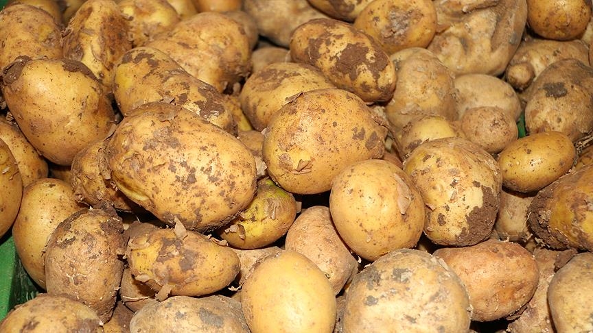 Patates Fiyatlarındaki Polemiğe Ticaret Bakanlığı'ndan Açıklama: Gerçek Fiyat Ne?