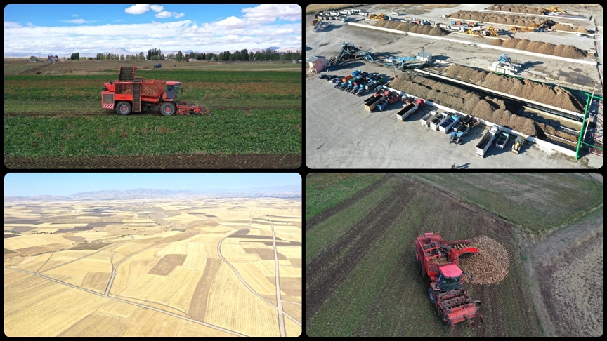 Ağrı'da Tarımda Rekolte Hedefi: 300 Bin Ton Buğday Bekleniyor