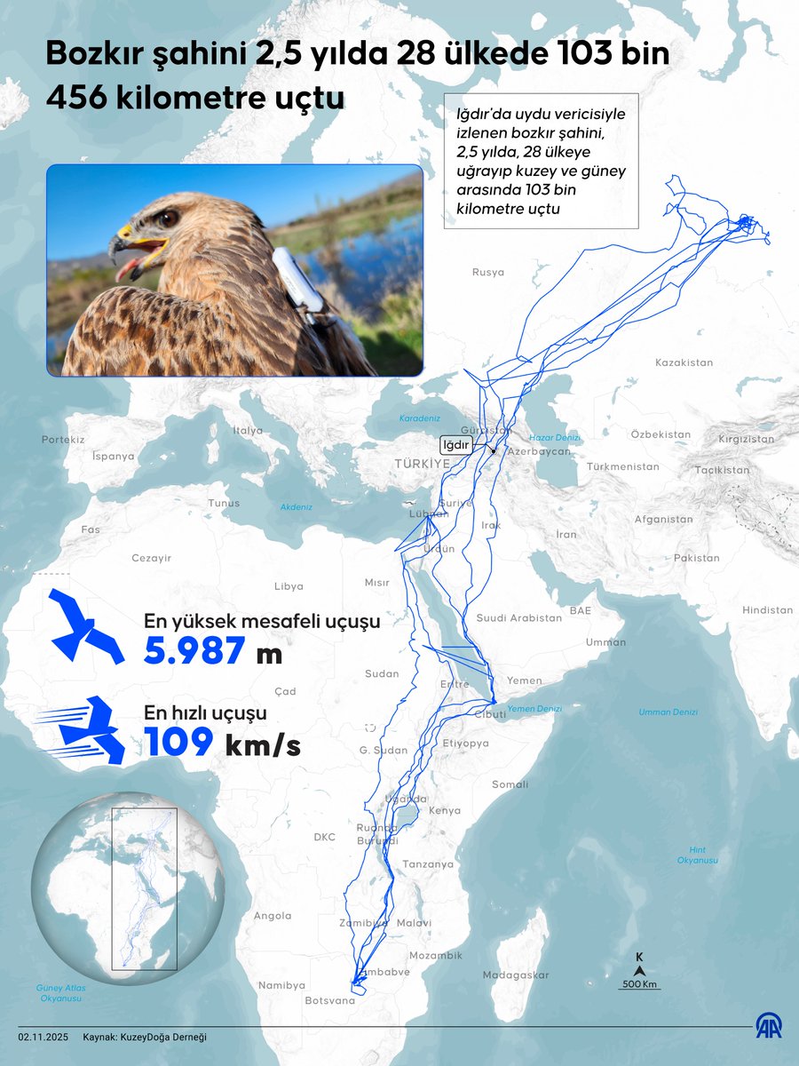 Uydu Vericili Bozkır Şahini, 2.5 Yılda 28 Ülkeyi Geçerek 103 Bin Kilometre Göç Etti
