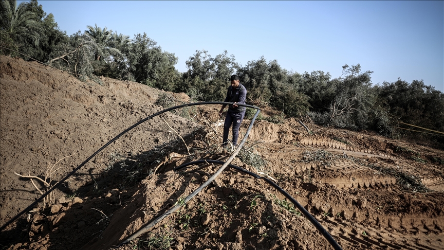 Gazze'de Tarım Felaketi: BM Raporu Tarım Altyapısının Yüzde 89'unun Hasar Gördüğünü Ortaya Koydu