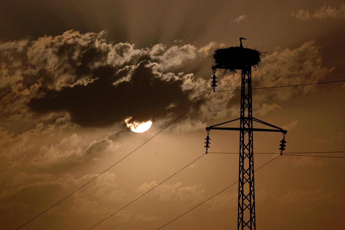 Türkiye'nin Elektrik Üretim ve Tüketim Rakamları Açıklandı