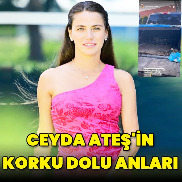 Ceyda Ateş, Miami'deki Evinin Bahçesinde Dev Timsahla Karşılaştı