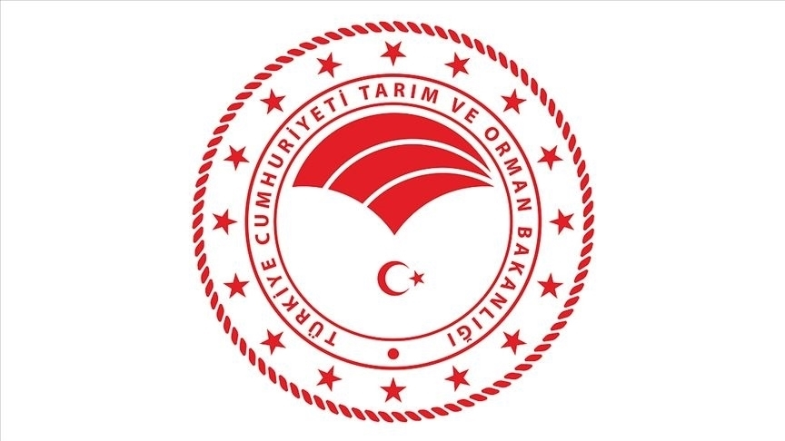 Şap Hastalığı Kontrol Altına Alındı, Aşılama Oranı Yüzde 92'ye Ulaştı