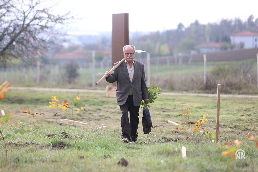75 Yaşındaki Emekli Orman Mühendisi Vicdan Aladağ, 35 Milyon Fidanla Doğaya Hayat Verdi