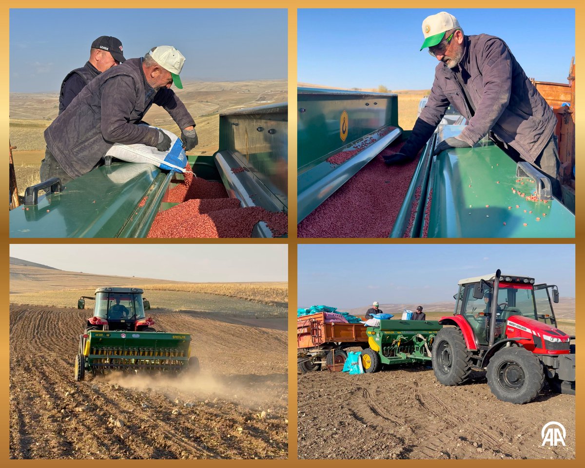 Yozgat'ta Kuraklık Buğday Üretimini Tehlikeye Atıyor