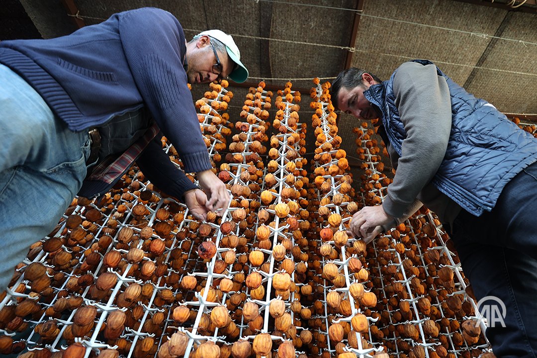 Cennet Hurması Üreticileri Yurt Dışına Açılıyor: Nevşehir'de Rekor Üretim