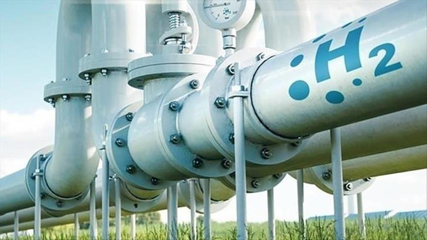 COP30'da Hidrojen Ekonomisi Masaya Yatırıldı: Sürdürülebilir Geleceğin Anahtarı