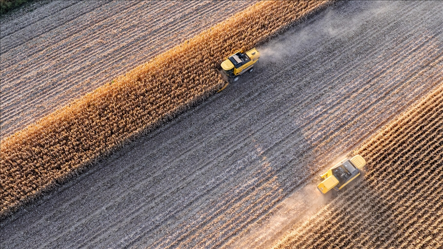 Eylül Ayında Tarımsal Girdi Fiyatları Yüzde 34.6 Arttı