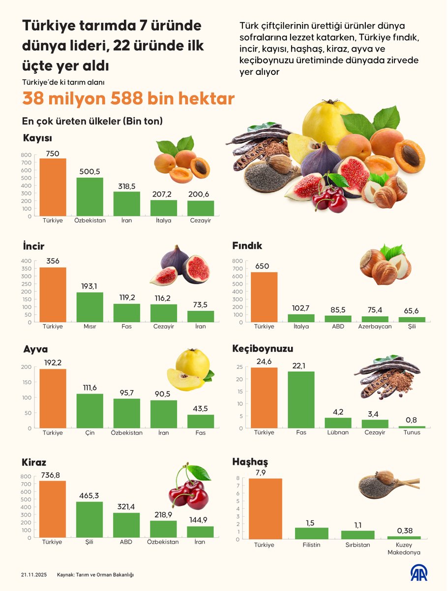 Türkiye Dünya Tarımında Zirvede: 7 Üründe Liderlik Koltuğunda