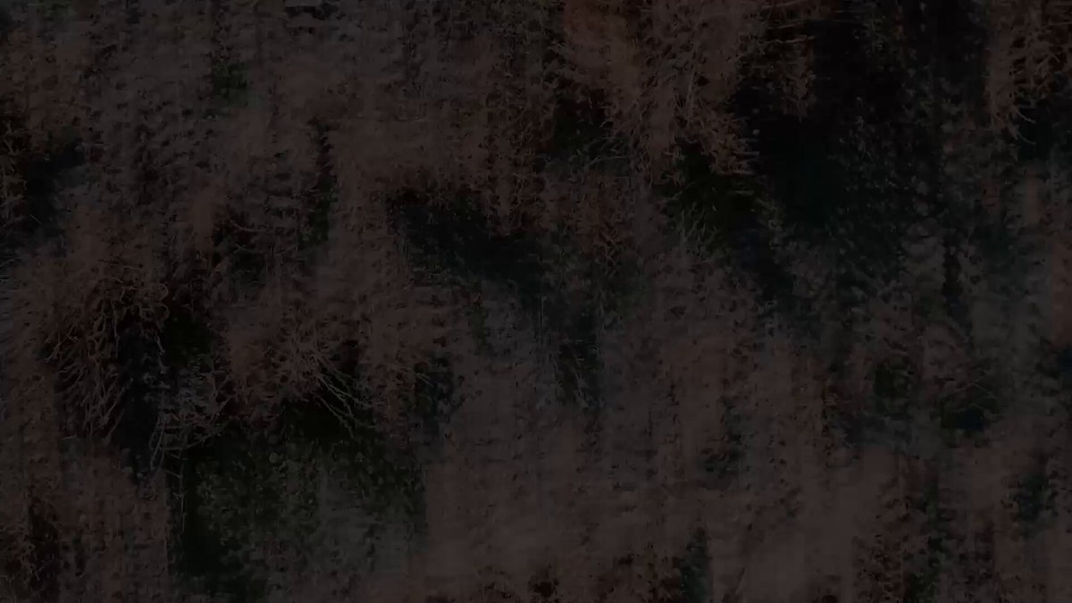 MKE'nin Yerli Hava Savunma Sistemi Tolga, 14 Ülkeye Tanıtıldı