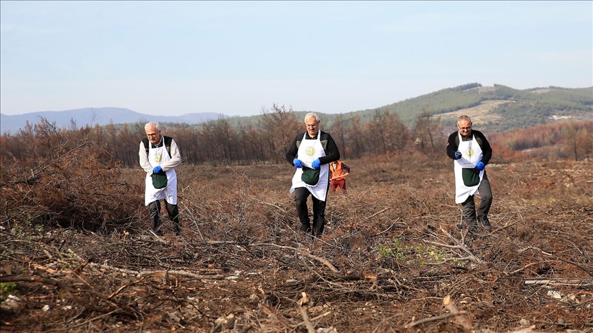 Manisa'da Yanan Ormanlar Yeniden Yeşilleniyor