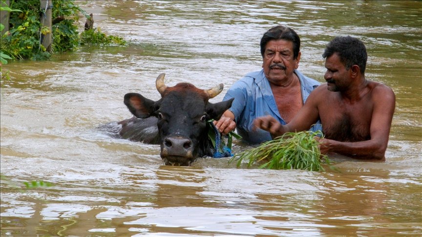 Sri Lanka'da Şiddetli Yağışlar: 47 Can Kaybı, Binlerce Kişi Etkilendi