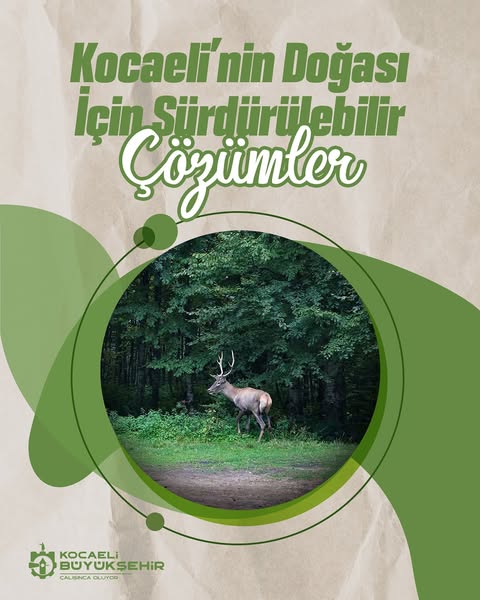 Kocaeli Büyükşehir Belediyesi Çevreye Yönelik Çalışmalarla Geleceği İnşa Ediyor