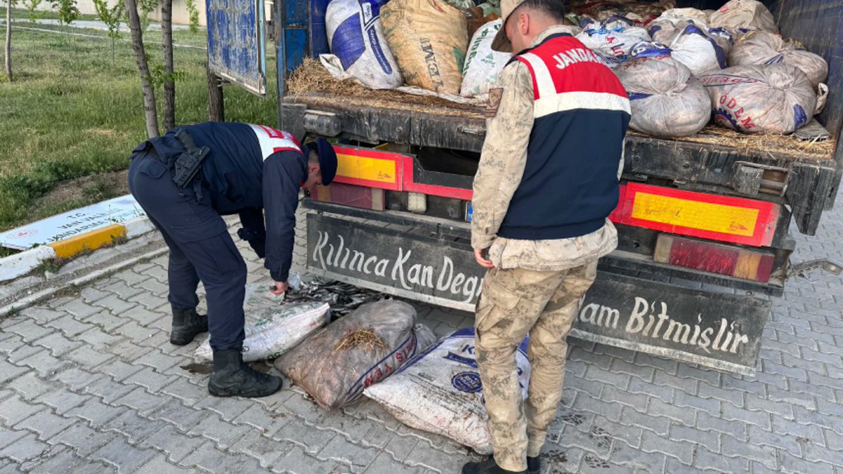 Van Gölü'nde Kaçak İnci Kefali Operasyonu: 19 Ton 200 Kilogram Ele Geçirildi
