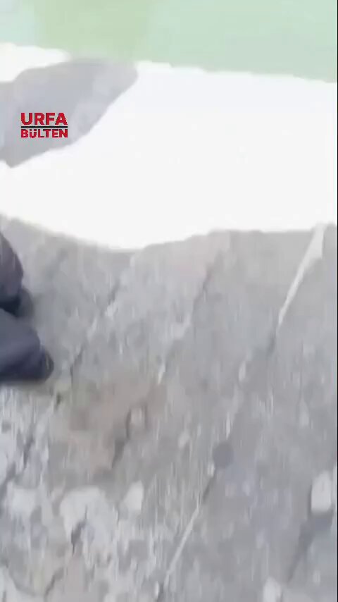 Şanlıurfa'da Balıklıgöl'de Yüzme Olayı