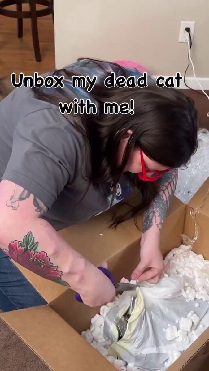 ABD'de Bir Kadın, Ölen Kedisini Kuru Dondurma Yöntemiyle Mumyaladı