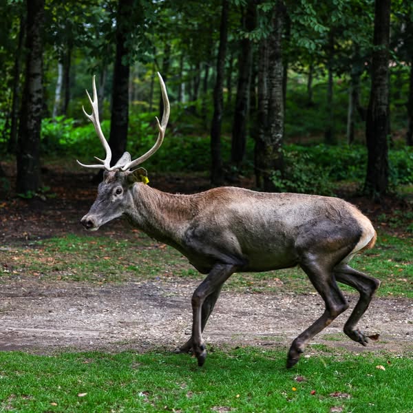 Kocaeli'de Kurban Bayramı'nda Doğayla İç İçe Tatil Keyfi