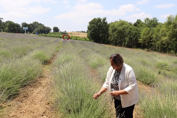 İzmit Belediyesi Üretimi ve Kırsal Kalkınmaya Destek Veriyor