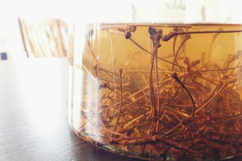 Kiraz Sapı Çayı: Faydaları, Nasıl Demlenir ve Sağlığa Etkileri