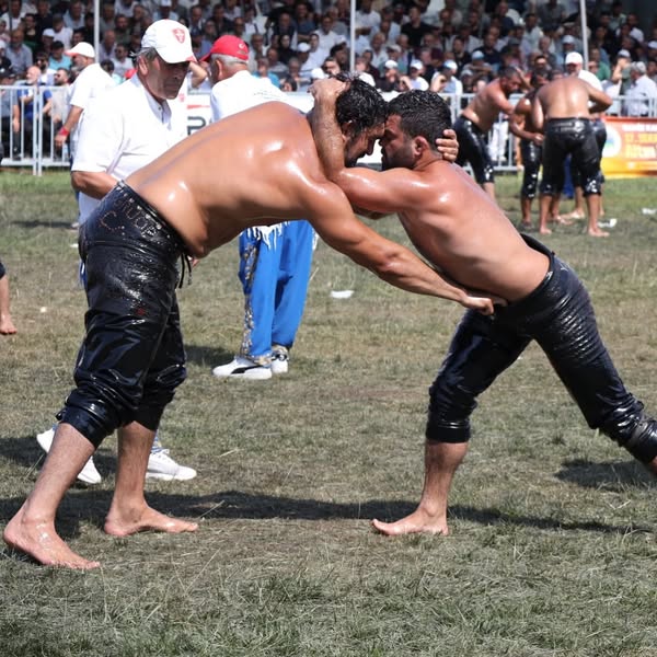 Kocaeli Sekapark Yağlı Güreşleri'nde Yarı Finalistler Belli Oldu