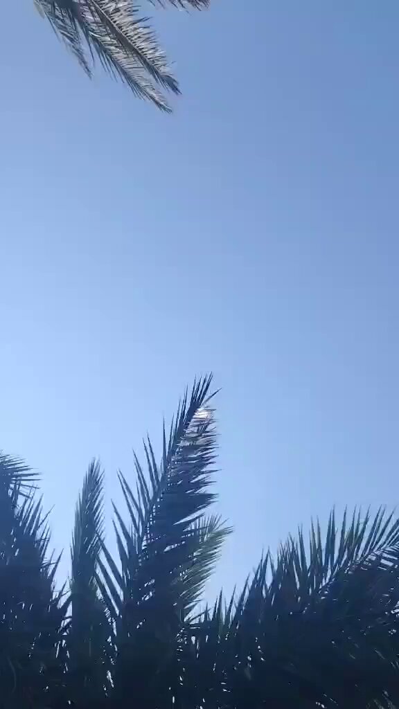 İran'dan İsrail'e Yeni İHA Saldırısı: Misilleme Operasyonu Devam Ediyor