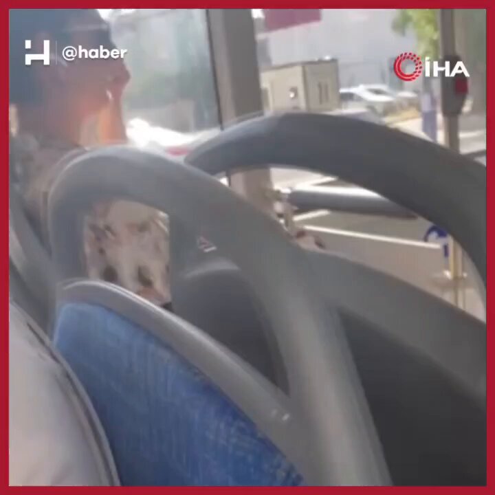 Denizli'de Halk Otobüsünde Çarşaflı Kadına Saldırı