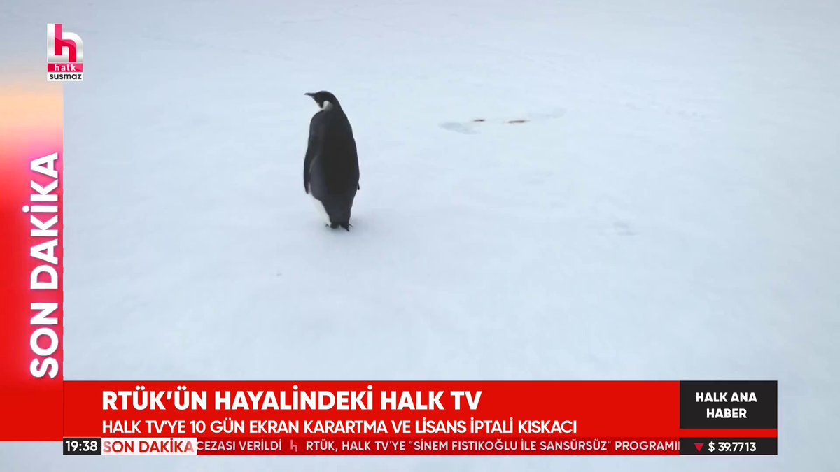 RTÜK Cezası Sonrası Halk TV'den Penguen Belgeseli Yayınlandı